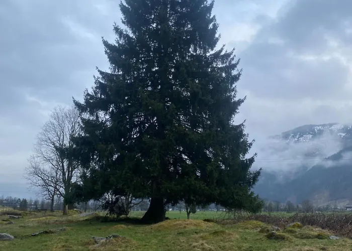 Διαμέρισμα Sunway Lounge *